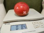 Taps Tomato - Image 3