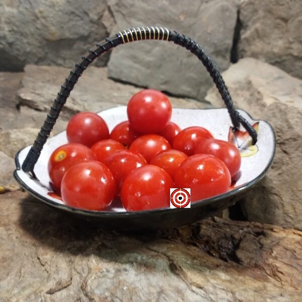 Tara Red Cherry Tomato