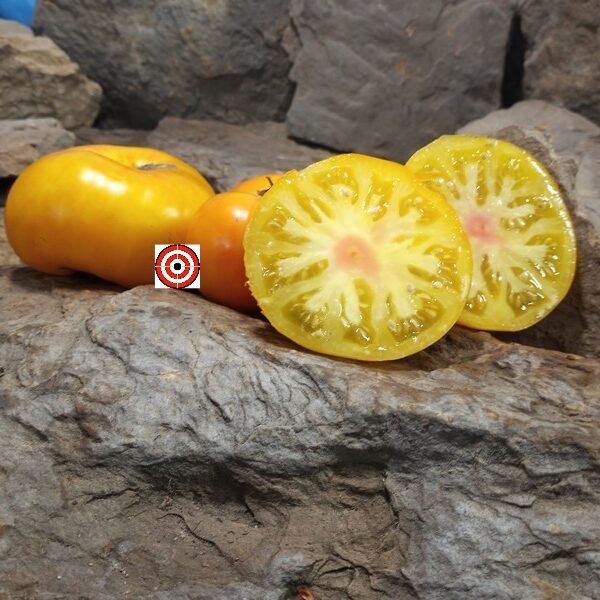 Tasmanian Blushing Tomato