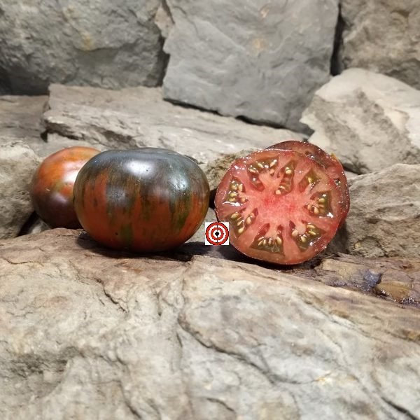 Tatyanin Yakhont Tomato
