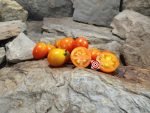 Terra Cotta Drop Tomato