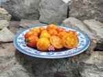 Terra Cotta Drop Tomato Rare Tomatoes