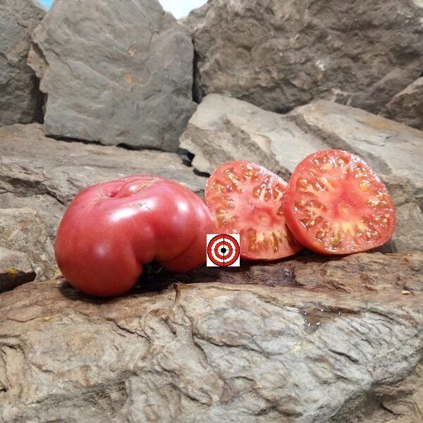 Twyman Tomato
