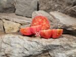 Twyman Tomato Heirloom Tomatoes