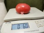 Twyman Tomato Rare Tomatoes