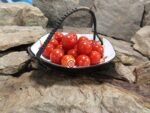 Unicorn (F2) Tomato Red Tomatoes