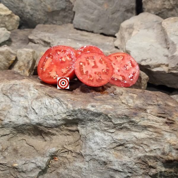 Van Wert Ohio Tomato