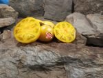 Variegated Dragon Tomato