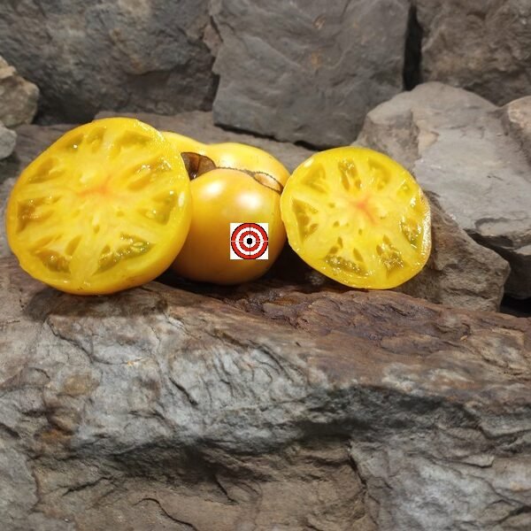 Variegated Dragon Tomato