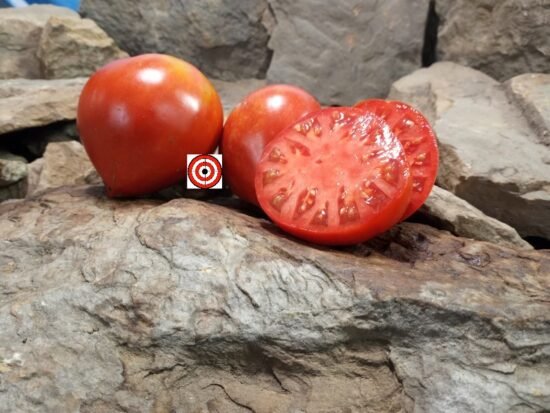 Vater Rhein Tomato