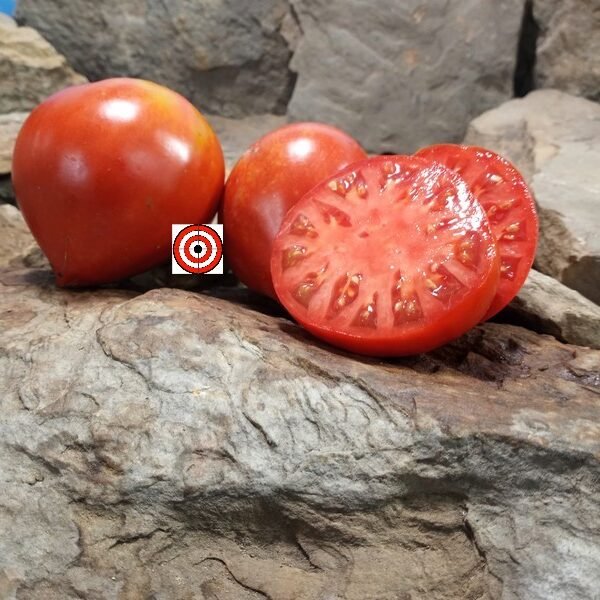 Vater Rhein Tomato