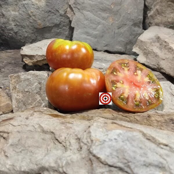 Vilk Dual Dwarf Tomato