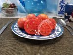 Vise Family Red Tomato