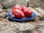 Wagners Italian Tomato