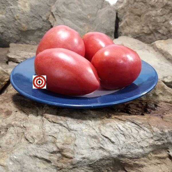 Wagners Italian Tomato