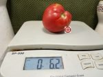 Wagners Italian Tomato Canning Tomatoes
