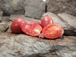 Wagners Italian Tomato Heirloom Tomatoes