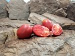 Wagners Italian Tomato Seeds