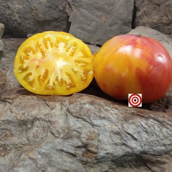 Wagoner Beefsteak Tomato