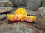 Wagoner Beefsteak Tomato Bicolored Tomatoes