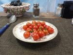 Wagoner Cherry Tomato
