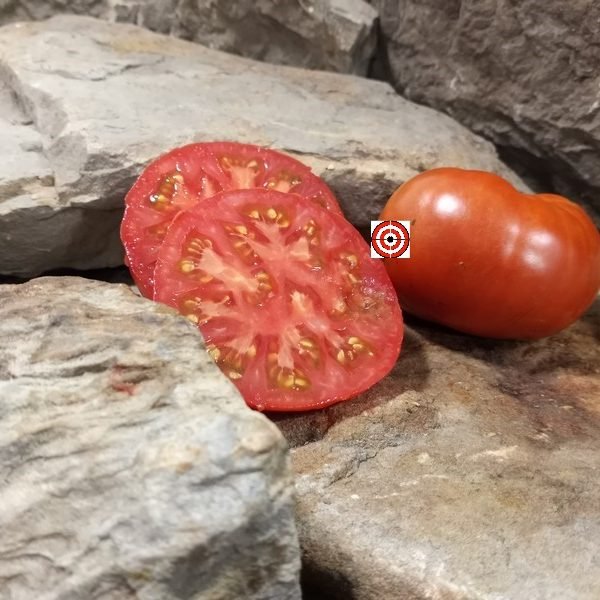 Wagoner Tomato