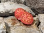 Wagoner Tomato Seeds