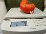 West Virginia Tomato Beefsteak Tomatoes