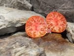 West Virginia Tomato Seeds