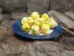White Carolina Reaper Pepper - Image 5