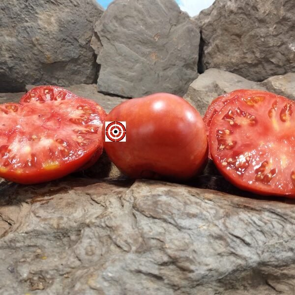 Wild Bill's Big Red Tomato