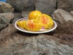 William Plumber's Yellow Tomato