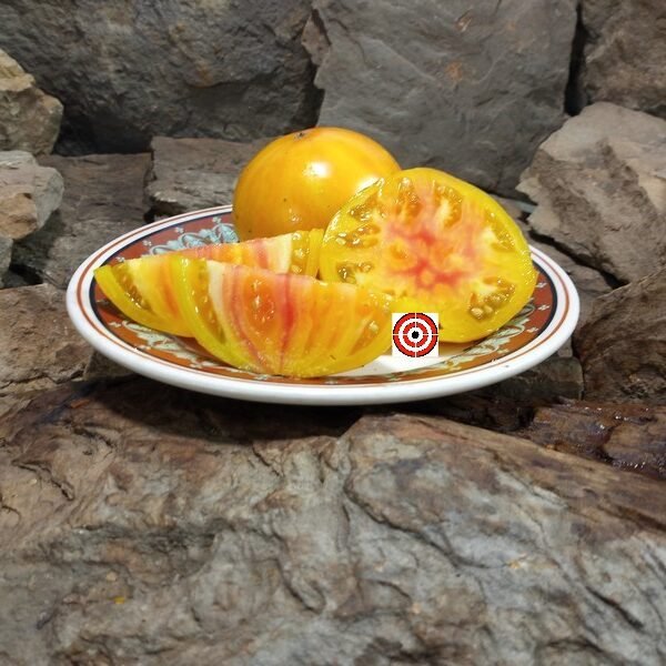 William Plumber's Yellow Tomato