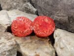Wins All Tomato Sandwich Tomatoes