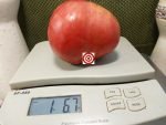 Work Release Paste Tomato