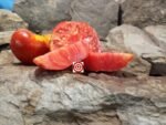 Yummy Sammich Tomato