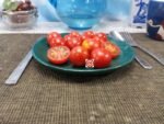 Zuckertraube Tomato - Image 3