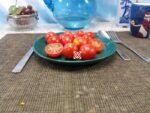 Zuckertraube Tomato - Image 4