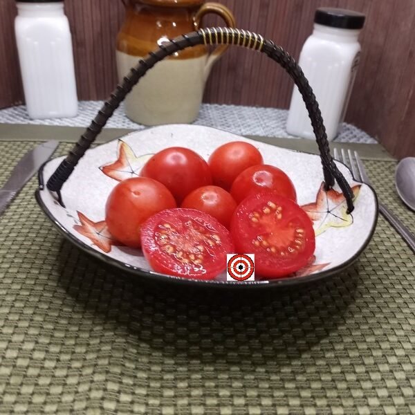 Zwerg Dwarf Tomato