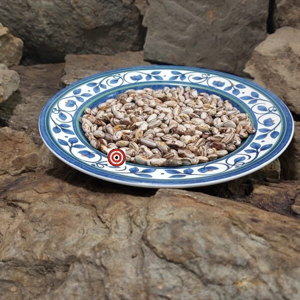 Kermits Smoky Mountain Bean