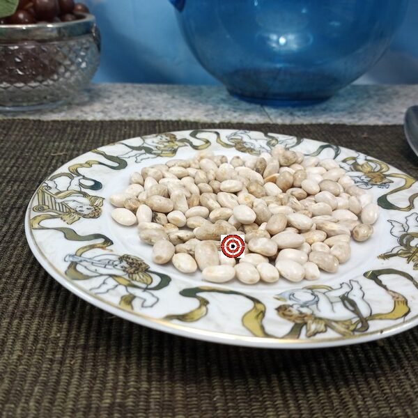 North Carolina Short Cut Greasy Bean
