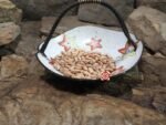 Tarahumara Capirame Bean - Image 2