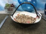 Zebra Bean - Image 6