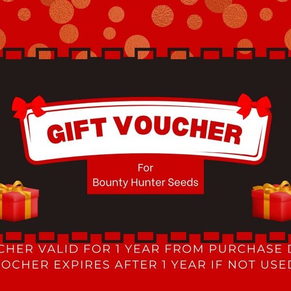 new gift voucher