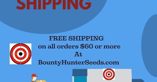 FREE SHIPPING on all order $60 or more