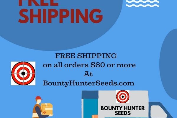 FREE SHIPPING on all order $60 or more