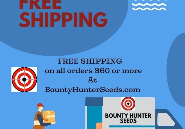 FREE SHIPPING on all order $60 or more