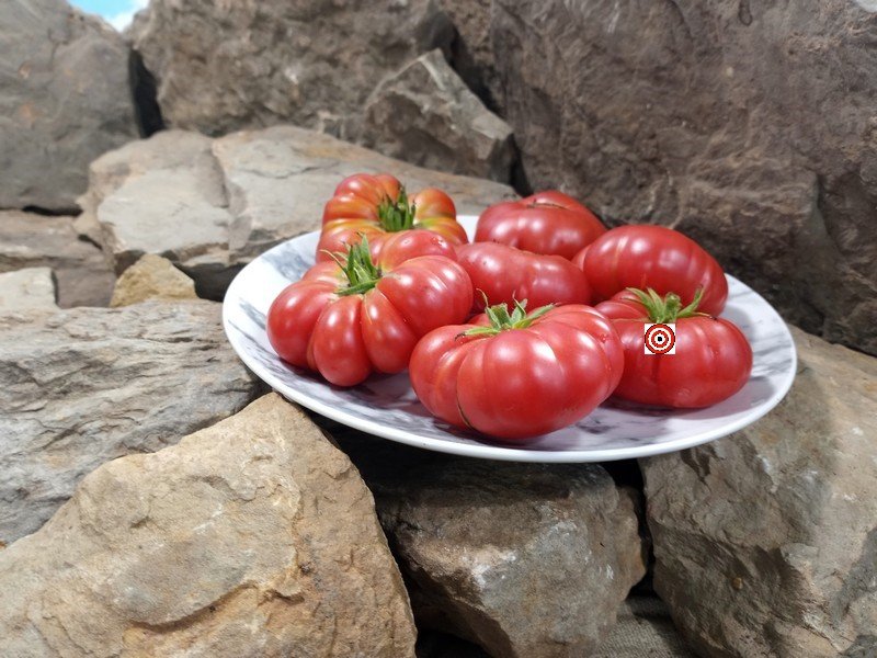 A Popular Red Beef Steak Tomato Bali Tomato Seeds For Sale Here.