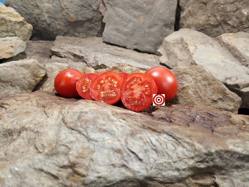 A Popular Salad Tomato Aunt Lucy's Italian Paste Tomato Seeds Available Here.