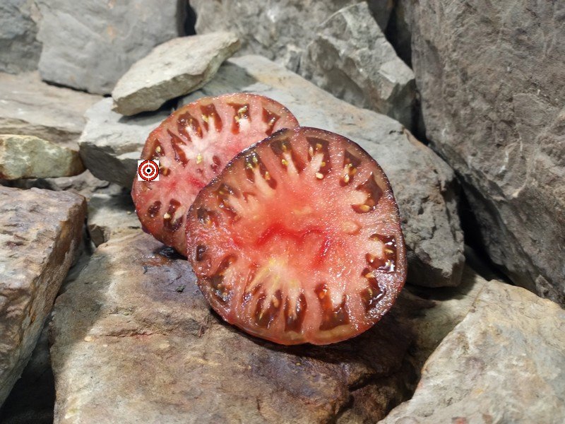 A Popular Sandwich Tomato Avemon Apgye Tomato Seeds For Sale Here.